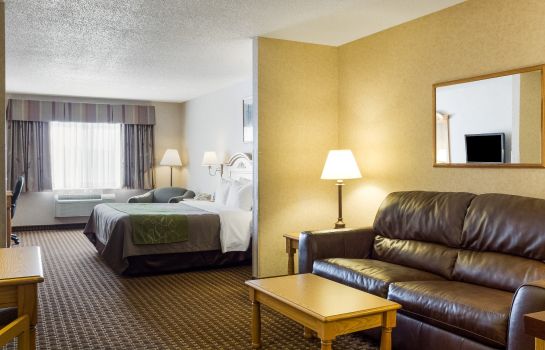 Habitación Comfort Inn and Suites Custer