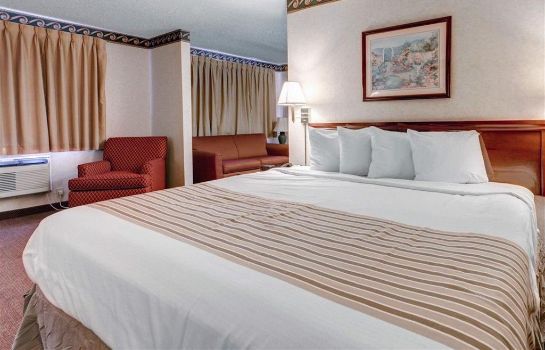 Suite Econo Lodge Inn and Suites