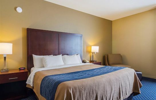 Comfort Inn And Suites Sea Tac Airport Seatac Great Prices At