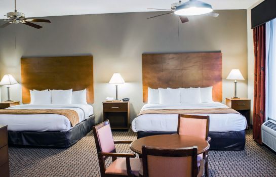 Room Comfort Suites Raleigh Durham Airport/RT