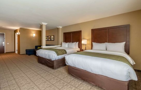 Zimmer Comfort Inn and Suites - Harrisburg Airp