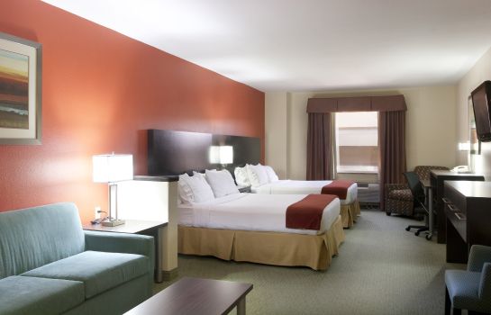 Suite Holiday Inn Express & Suites BROWNSVILLE