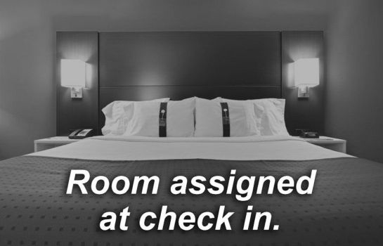 Zimmer Holiday Inn Express & Suites BROWNSVILLE
