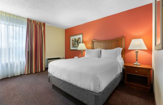 Room Holiday Inn Express CHICAGO-DOWNERS GROVE