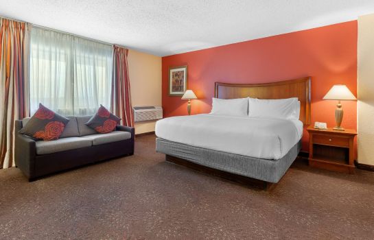 Room Holiday Inn Express CHICAGO-DOWNERS GROVE