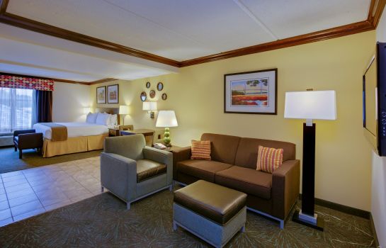 Suite Holiday Inn Express & Suites CHARLESTON-ASHLEY PHOSPHATE