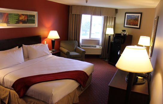 Zimmer Holiday Inn Express & Suites COLORADO SPRINGS AIRPORT