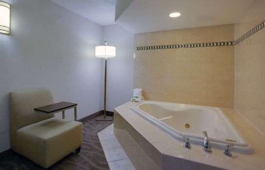 Suite Holiday Inn Express & Suites MEADOWLANDS AREA