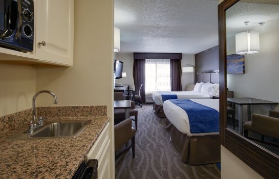 Zimmer Holiday Inn Express & Suites MEADOWLANDS AREA