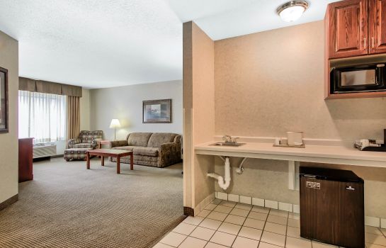 Suite Quality Inn and Suites