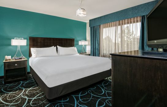 Zimmer Holiday Inn Express & Suites FORT WORTH SOUTHWEST (I-20)