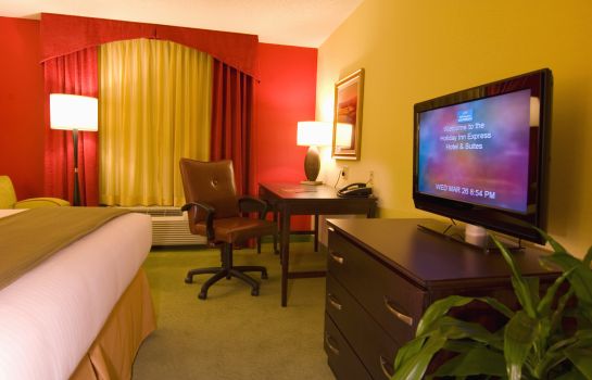 Zimmer Holiday Inn Express & Suites GREENVILLE-I-85 & WOODRUFF RD
