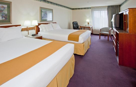 Room Holiday Inn Express HOLLAND