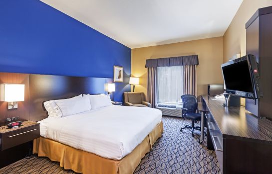 Room Holiday Inn Express & Suites HOUSTON-DWTN CONV CTR