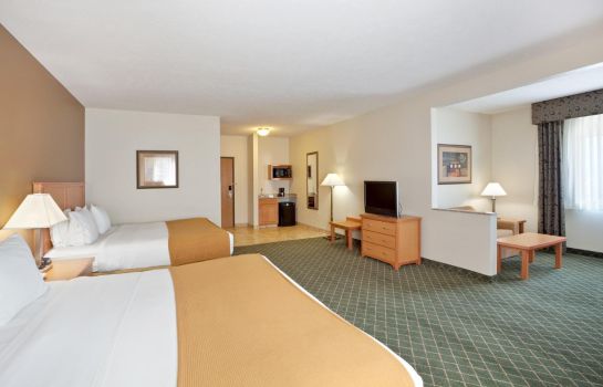 Suite Holiday Inn Express & Suites LINCOLN SOUTH
