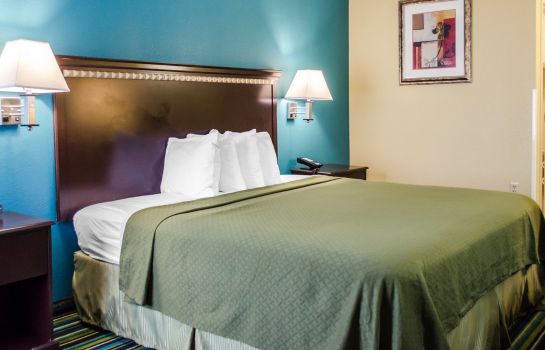 Chambre Quality Inn and Suites Medina- Akron Wes