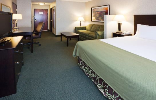 Suite Holiday Inn Express & Suites MINNEAPOLIS-DWTN (CONV CTR)