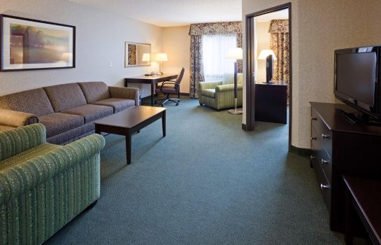 Suite Holiday Inn Express & Suites MINNEAPOLIS-DWTN (CONV CTR)