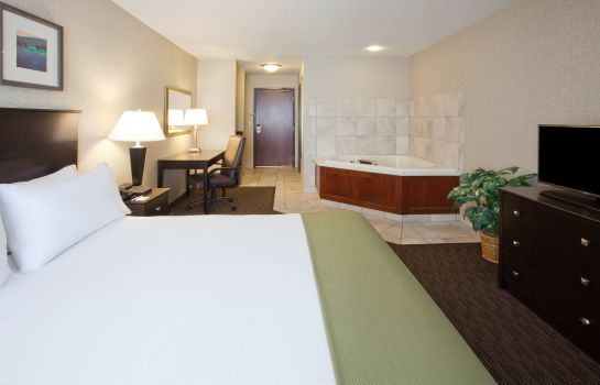 Chambre Holiday Inn Express & Suites MINNEAPOLIS-DWTN (CONV CTR)