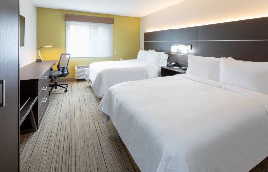 Habitación Holiday Inn Express & Suites MINNEAPOLIS-DWTN (CONV CTR)