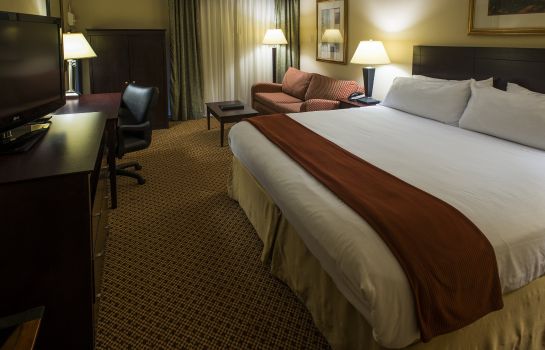 Zimmer Holiday Inn Express & Suites SPRINGFIELD