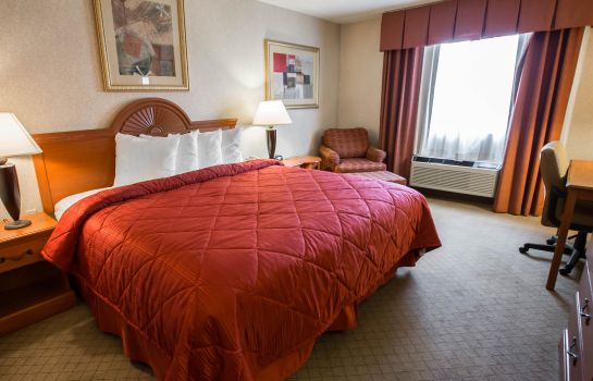 Zimmer Quality Inn and Suite Woodstock