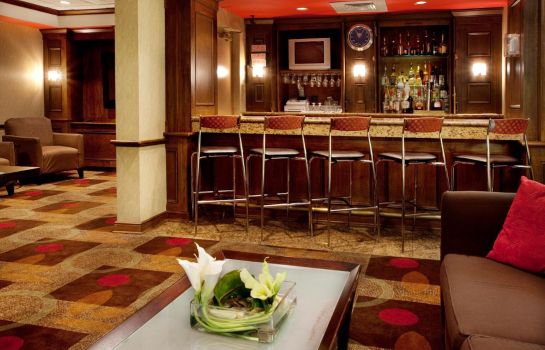 Hotel-Bar Holiday Inn ATLANTA-NORTHLAKE