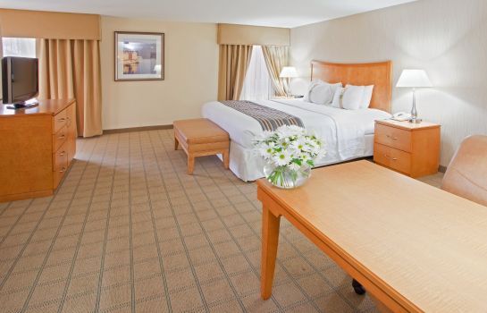 Zimmer Holiday Inn & Suites ALEXANDRIA - OLD TOWN