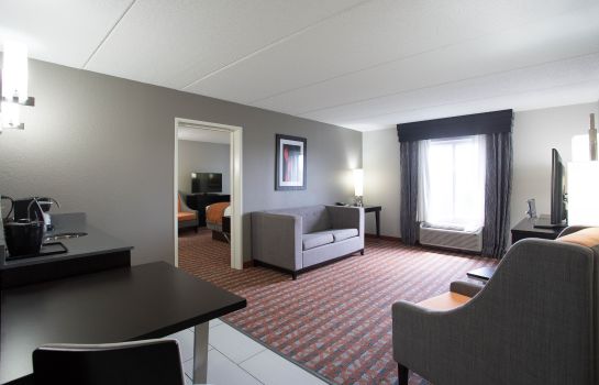 Suite Holiday Inn Express & Suites NASHVILLE SOUTHEAST - ANTIOCH