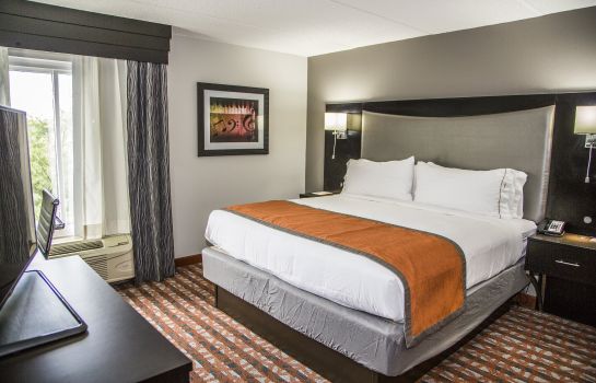 Zimmer Holiday Inn Express & Suites NASHVILLE SOUTHEAST - ANTIOCH