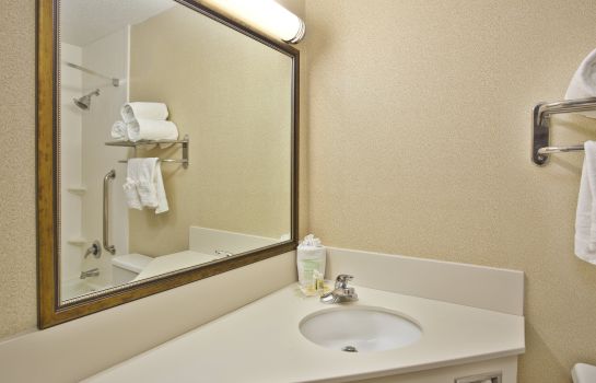 Zimmer Holiday Inn BATON ROUGE-SOUTH