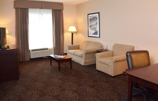 Suite Holiday Inn CANTON (BELDEN VILLAGE)