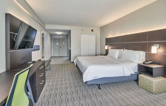 Habitación Holiday Inn Express & Suites CLEARWATER/US 19 N