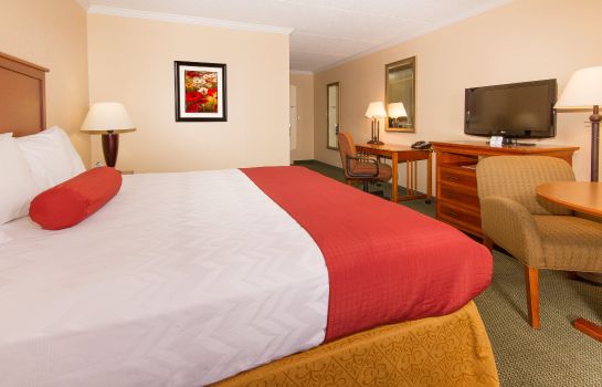 Zimmer Best Western International Speedway Hotel