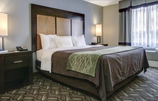 Zimmer Best Western Plus El Paso Airport Hotel & Conference Center
