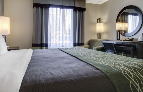 Zimmer Best Western Plus El Paso Airport Hotel & Conference Center