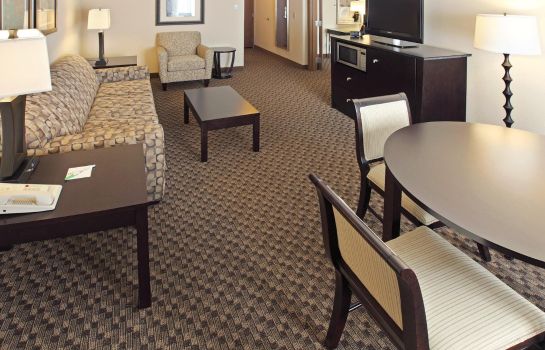 Suite Holiday Inn LITTLE ROCK-AIRPORT-CONF CTR