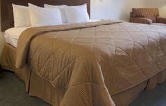 Hotelhal Comfort Inn and Suites Duke University-D