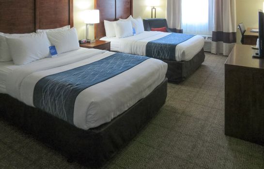 Chambre Comfort Inn and Suites North Glendale -