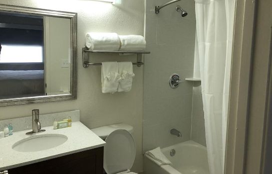 Salle de bains Nashville Airport Inn & Suites