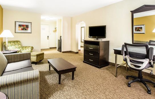 Zimmer Quality Inn and Suites Airpark East