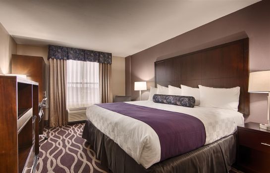 Suite Best Western Plus Dallas Hotel & Conference Center