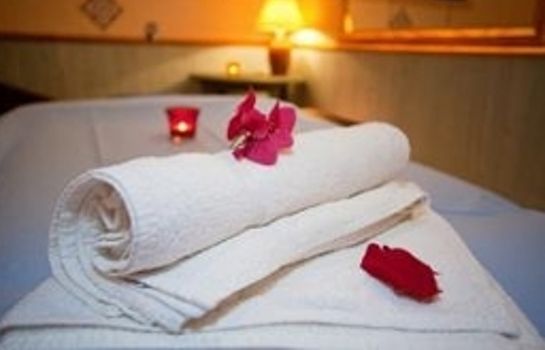 Hotel Le Manoir in Aix-les-Bains - HOTEL DE