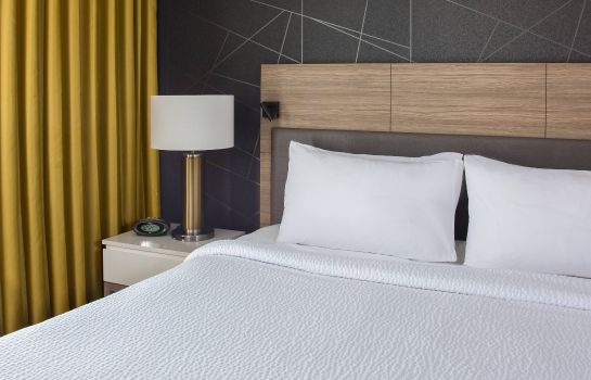 Hotel Springhill Suites New Orleans Downtown Convention