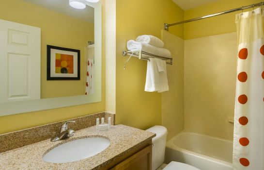 Suite TownePlace Suites Albany University Area