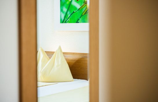 Chambre individuelle (standard) Hotel Odelya