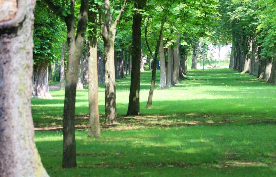 reichel s parkhotel bad windsheim great prices at hotel info