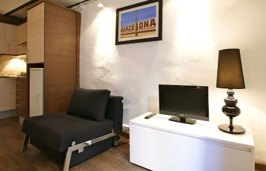Hotel Ssg Borne Down Town Studios Barcellona Hotel Info