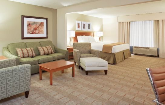 Suite Holiday Inn Express & Suites INDIANAPOLIS DTN-CONV CTR AREA
