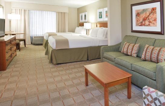 Room Holiday Inn Express & Suites INDIANAPOLIS DTN-CONV CTR AREA